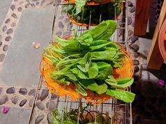 -尼玛藏家风味园(阿山食城店)