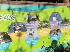 -宁波野生动物园