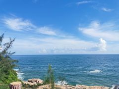 -广东惠东海龟国家级自然保护区