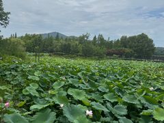 -长广溪湿地公园