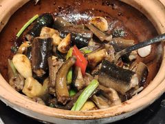-新兴·金羊座·粤菜点心(乐峰店)
