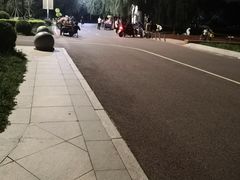 -丁香湖公园