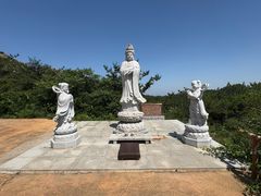 -金龙寺国家森林公园