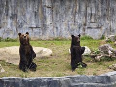 -武汉动物园