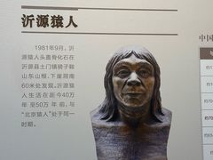 -日照市博物馆
