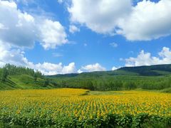 -塞罕坝国家级自然保护区