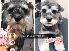 -小尾巴宠物店(万科·金域华庭店)