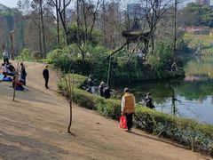 -重庆彩云湖湿地公园
