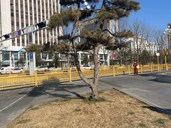 -迎泽公园