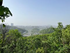 -岳麓山风景名胜区