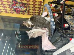 -谜盒子奇幻密室(南屏店)