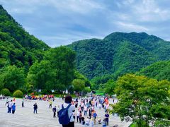 -牛背梁国家森林公园