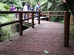 -赤水丹霞旅游区·佛光岩