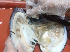 -十八字金·银饰·拼豆·开蚌DIY(魏公芳华里店)