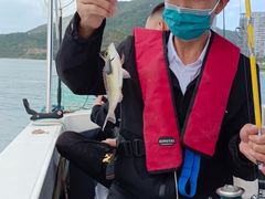 -小猫钓鱼海钓俱乐部(椰梦长廊店)