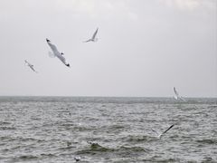 -滇池海埂公园