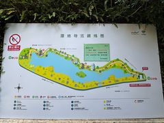 -华侨城湿地公园