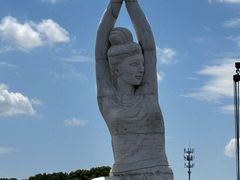-荷塘月色湿地公园·向阳花洲