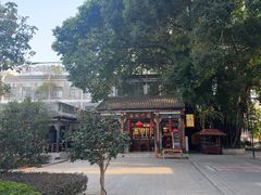 -荔湾湖公园