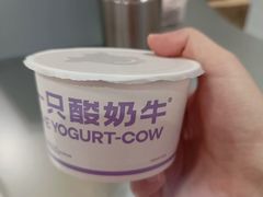 -首开·龙湖成都西宸天街