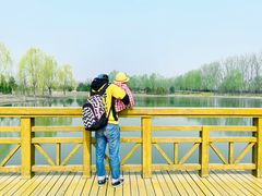 -东郊湿地公园