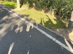 -广东花都湖国家湿地公园
