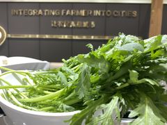 -农小锅自助小火锅(北京大兴凯德店)