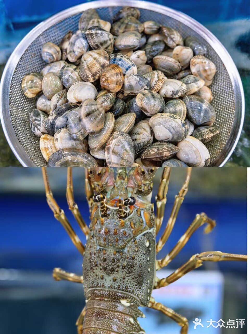 海口美食店铺🌸招牌特色海鲜川味十足