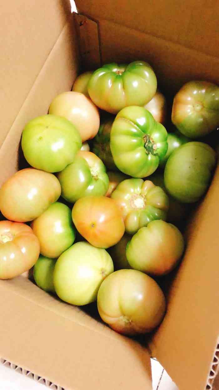 欢坨一线西红柿-"小时候的味道,小时候跟小伙伴在菜地里玩耍.