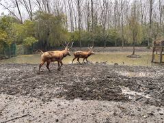 -溱湖国家湿地公园