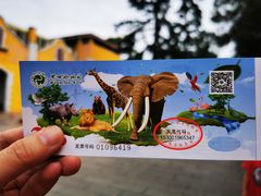 -昆明动物园
