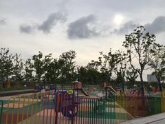 -春花秋色城市公园