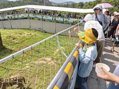 -西霞口神雕山野生动物世界
