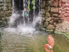 -呀路古热带植物园