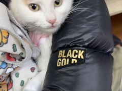 -北京观赏动物医院·24小时大型综合·猫专科·异宠专科
