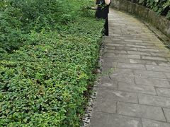 -小八仙·宴(三峡茶庄店)