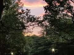 -中国浦东干部学院