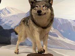 -陕西自然博物馆