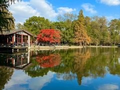 -上海共青森林公园