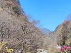 -秦岭风景区