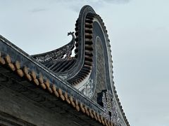 -碧江金楼