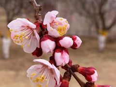 -鹫峰国家森林公园