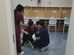 -美联众合爱康动物医院•复杂内科•肿瘤科•牙科•腔镜诊疗中心