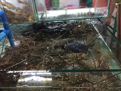 -班赞海鲜市场
