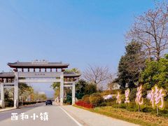 -天适樱花悠乐园