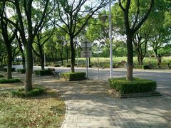 -华东政法大学(松江校区)