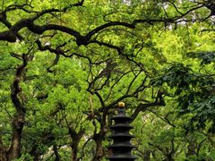 -普陀山风景名胜区-法雨禅寺