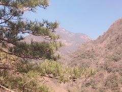 -祁门牯牛降观音堂风景区