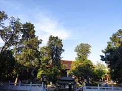 -大理古城
