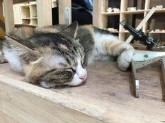 -五月木作·DIY木作文创体验店(北京路店)